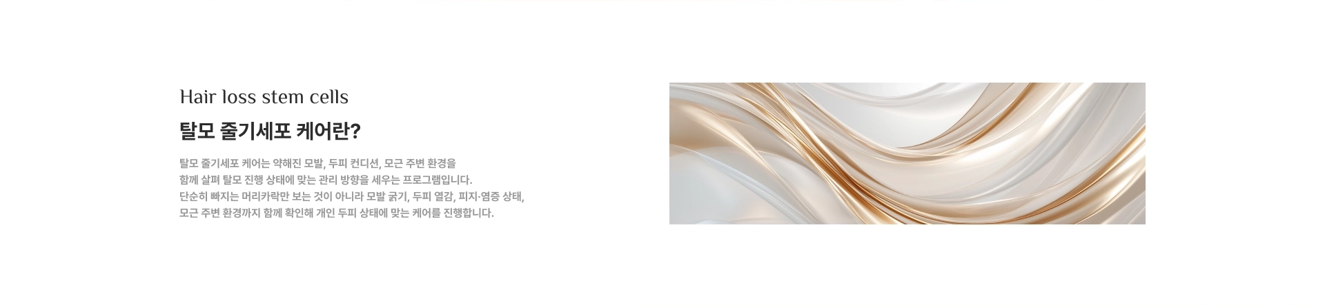 [탈모 줄기세포 케어란?] 탈모 줄기세포 케어는 약해진 모발, 두피 컨디션, 모근 주변 환경을 함께 살펴 탈모 진행 상태에 맞는 관리 방향을 세우는 프로그램입니다.
