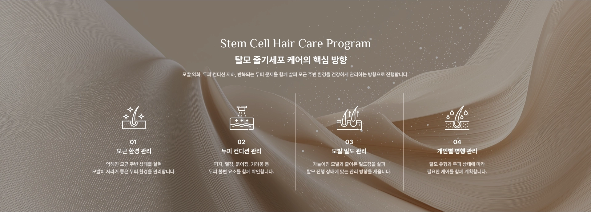 [탈모 줄기세포 케어의 핵심 방향] 01 : 모근 환경 관리 / 02 : 두피 컨디션 관리 / 03 : 모발 밀도 관리 / 04 : 개인별 병행 관리
