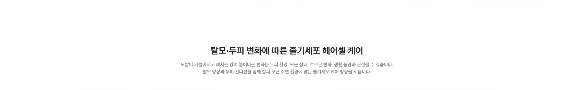 [탈모·두피 변화에 따른 줄기세포 헤어셀 케어] 모발이 가늘어지고 빠지는 양이 늘어나는 변화는 두피 환경, 모근 상태, 호르몬 변화, 생활 습관과 관련될 수 있습니다. 탈모 양상과 두피 컨디션을 함께 살펴 모근 주변 환경에 맞는 줄기세포 케어 방향을 세웁니다.