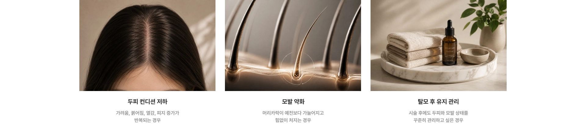 두피 컨디션 저하, 모발 약화, 탈모 후 유지 관리