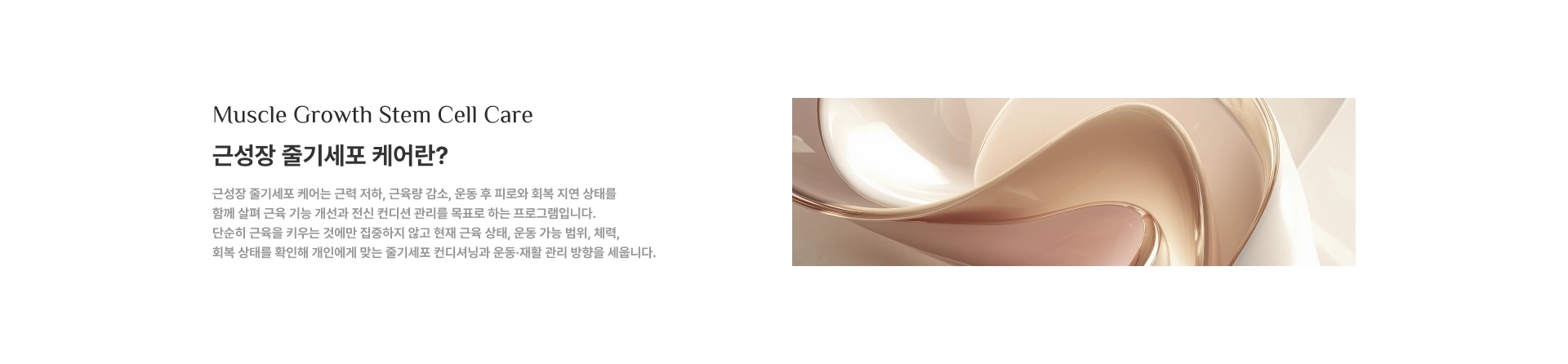 [근성장 줄기세포 케어란?] 근성장 줄기세포 케어는 근력 저하, 근육량 감소, 운동 후 피로와 회복 지연 상태를 함께 살펴 근육 기능 개선과 전신 컨디션 관리를 목표로 하는 프로그램입니다.
