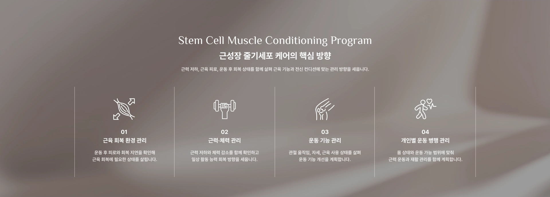 [근성장 줄기세포 케어의 핵심 방향] 01 : 근육 회복 환경 관리 / 02 : 근력·체력 관리 / 03 : 운동 기능 관리 / 04 : 개인별 운동 병행 관리