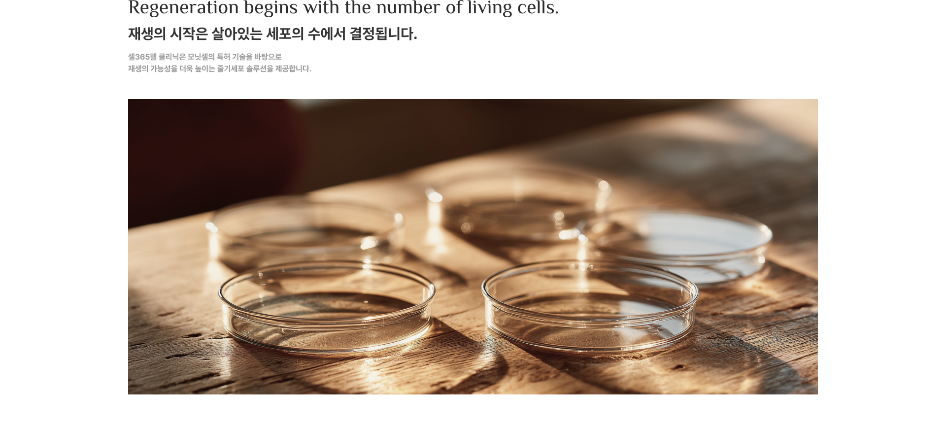 재생의 시작은 살아있는 세포의 수에서 결정됩니다.