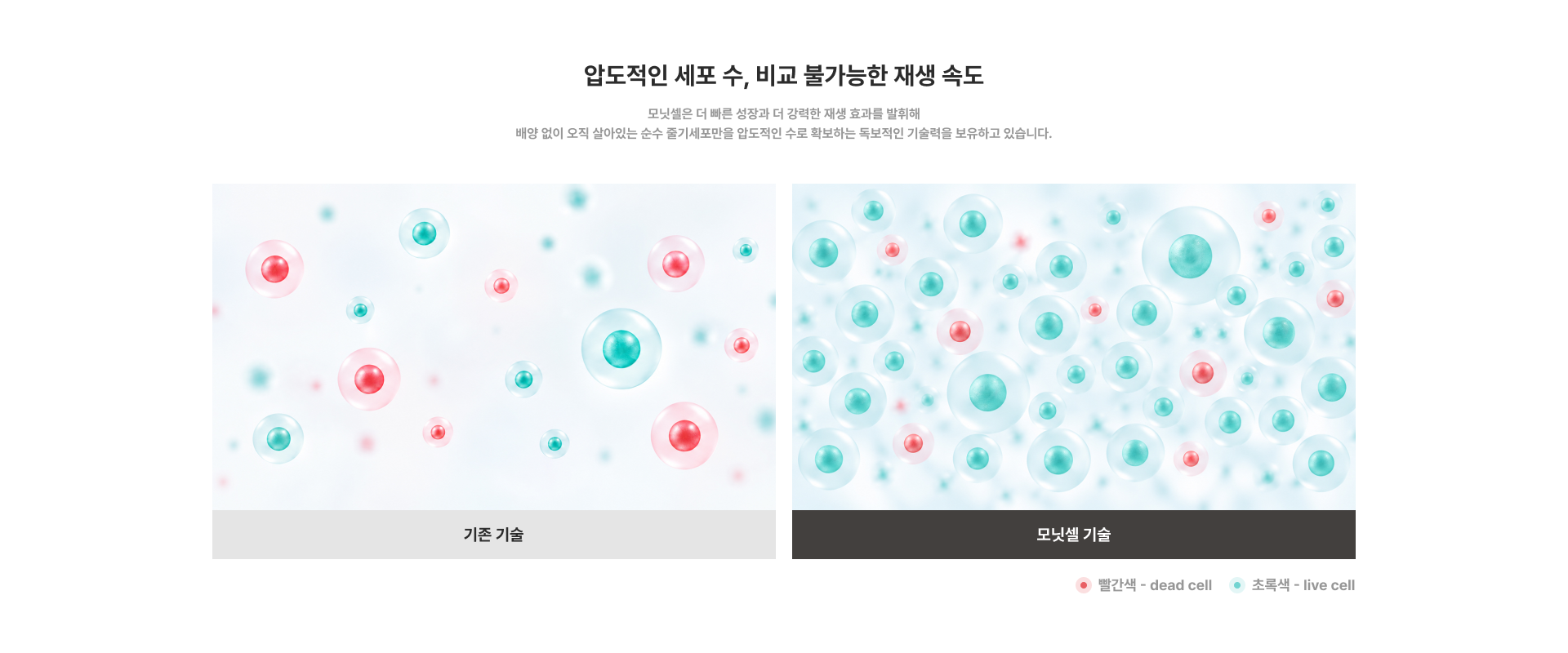 압도적인 세포 수, 비교 불가능한 재생 속도