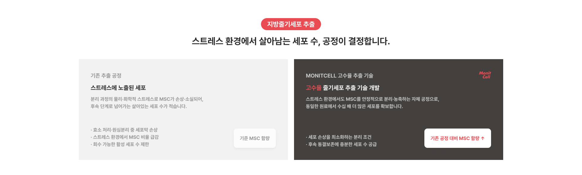 지방줄기세포 추출 스트레스 환경에서 살아남는 세포 수, 공정이 결정합니다.